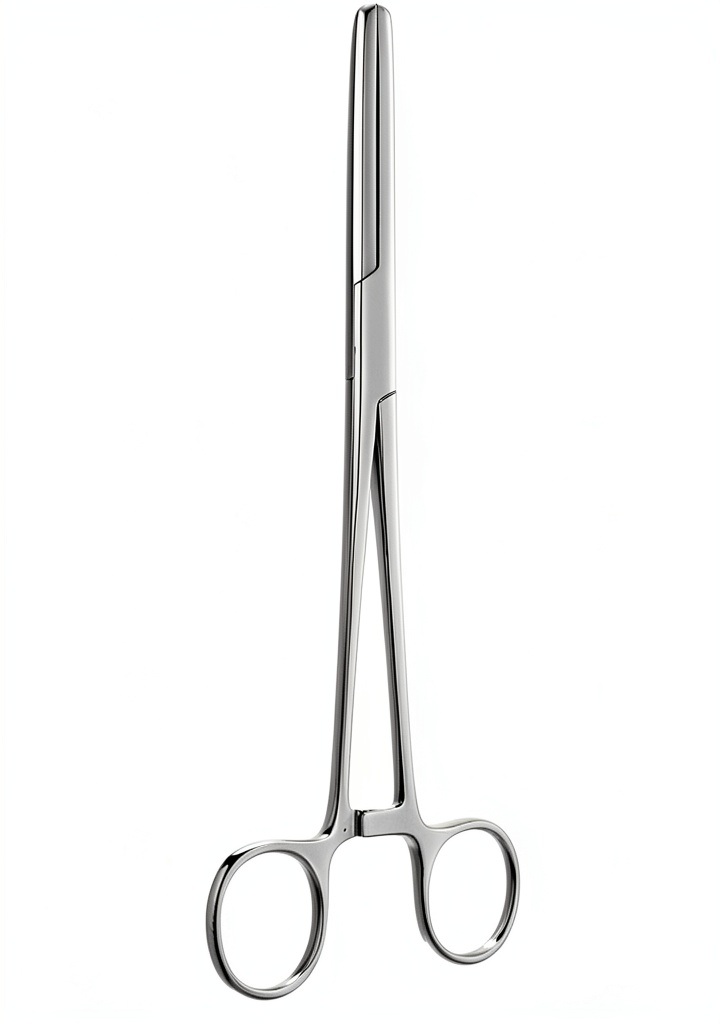 'Torllireth T-Bolt Hose Clamp in stainless steel silver finish'