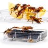 Exo Terra Cricket Care Kit for Reptiles-1