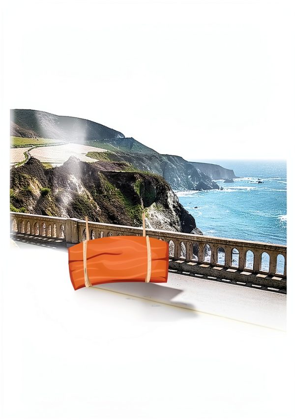 San Francisco Travel Guide Kindle Edition by XYZ Publishing 203‑Page-0